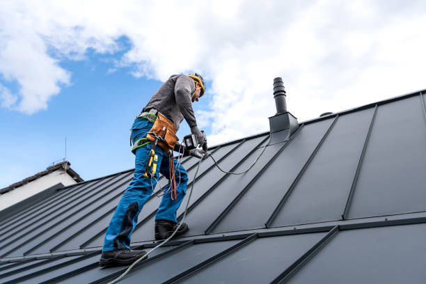 Best Chimney Flashing Repair  in Forest Lake, IL